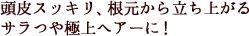 頭皮スッキリ、根元から立ち上がるサラつや極上ヘアーに！